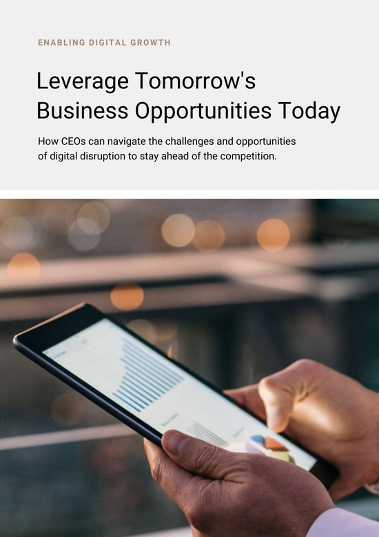 Enabling Digital Growth – Leverage Tomorrow's Business Opportunities Today (white paper for CEOs)